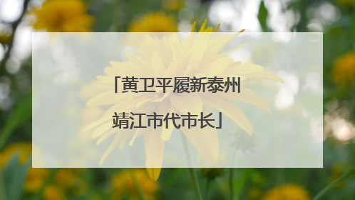 黄卫平履新泰州靖江市代市长
