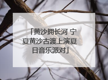 黄沙拥长河 宁夏黄沙古渡上演夏日音乐派对