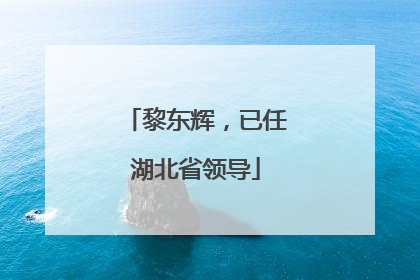 黎东辉，已任湖北省领导