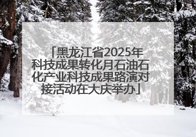 黑龙江省2025年科技成果转化月石油石化产业科技成果路演对接活动在大庆举办