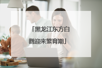 黑龙江东方白鹳迎来繁育期