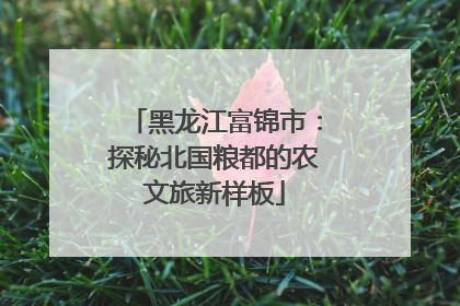 黑龙江富锦市：探秘北国粮都的农文旅新样板