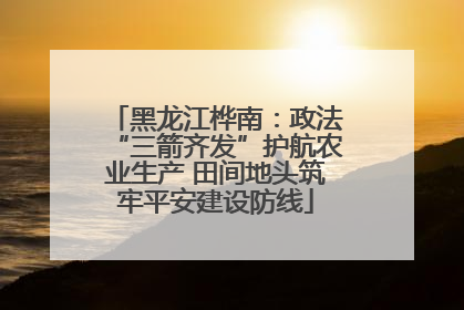 黑龙江桦南：政法“三箭齐发”护航农业生产 田间地头筑牢平安建设防线