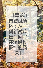 黑龙江自贸试验区：从“创新试验田”向“经济增长极”的质变