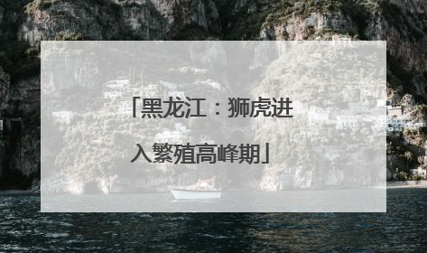 黑龙江：狮虎进入繁殖高峰期