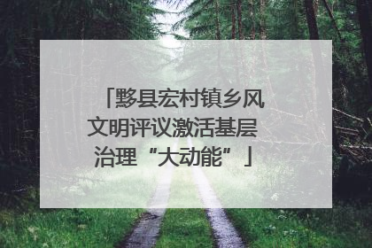 黟县宏村镇乡风文明评议激活基层治理“大动能”