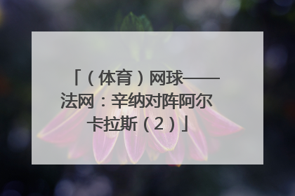 （体育）网球——法网：辛纳对阵阿尔卡拉斯（2）