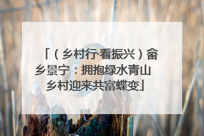（乡村行·看振兴）畲乡景宁：拥抱绿水青山 乡村迎来共富蝶变