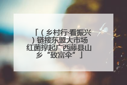 （乡村行·看振兴）链接东盟大市场 红菌撑起广西藤县山乡“致富伞”