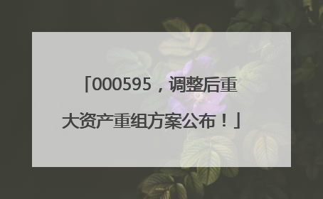 000595，调整后重大资产重组方案公布！