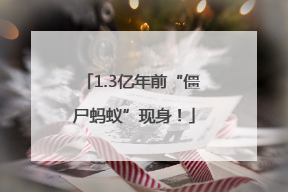 1.3亿年前“僵尸蚂蚁”现身！