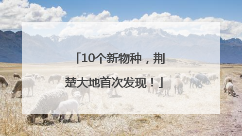 10个新物种，荆楚大地首次发现！