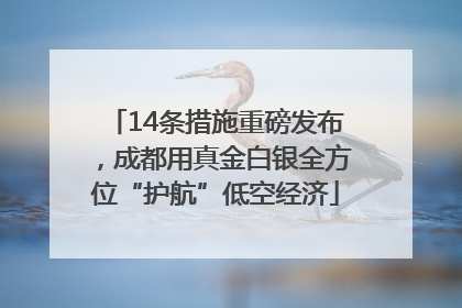 14条措施重磅发布，成都用真金白银全方位“护航”低空经济