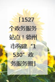 1527个政务服务站点！德州市构建“1530”政务服务圈