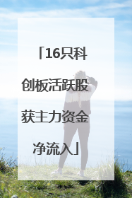 16只科创板活跃股获主力资金净流入