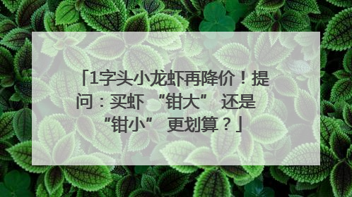 1字头小龙虾再降价！提问：买虾 “钳大” 还是 “钳小” 更划算？
