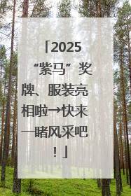 2025“紫马”奖牌、服装亮相啦→快来一睹风采吧！
