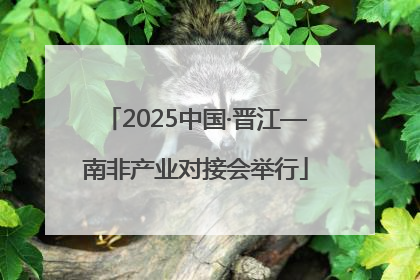 2025中国·晋江—南非产业对接会举行