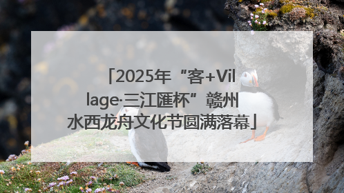 2025年“客+Village·三江匯杯”赣州水西龙舟文化节圆满落幕