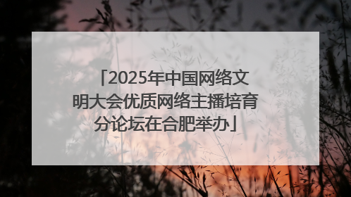 2025年中国网络文明大会优质网络主播培育分论坛在合肥举办
