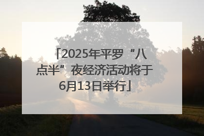 2025年平罗“八点半”夜经济活动将于6月13日举行