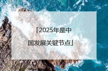 2025年是中国发展关键节点
