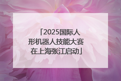 2025国际人形机器人技能大赛在上海张江启动