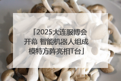 2025大连服博会开幕 智能机器人组成模特方阵亮相T台