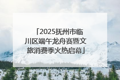 2025抚州市临川区端午龙舟赛暨文旅消费季火热启幕