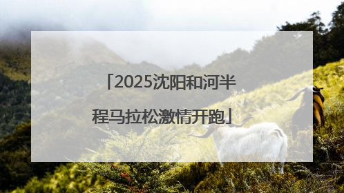 2025沈阳和河半程马拉松激情开跑