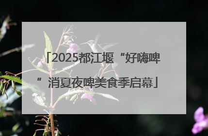 2025都江堰“好嗨啤”消夏夜啤美食季启幕