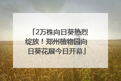 2万株向日葵热烈绽放！郑州植物园向日葵花展今日开幕
