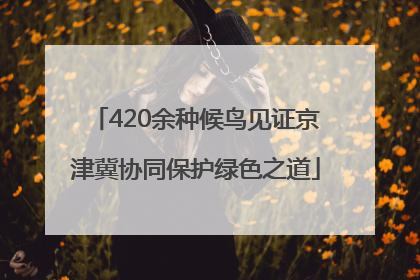 420余种候鸟见证京津冀协同保护绿色之道