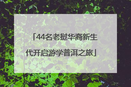 44名老挝华裔新生代开启游学普洱之旅