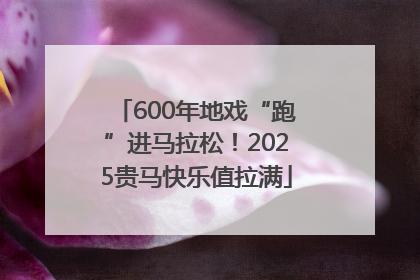 600年地戏“跑”进马拉松！2025贵马快乐值拉满