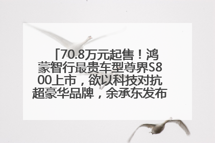 70.8万元起售！鸿蒙智行最贵车型尊界S800上市，欲以科技对抗超豪华品牌，余承东发布会未提及迈巴赫