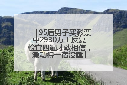 95后男子买彩票中2930万！反复检查四遍才敢相信，激动得一宿没睡