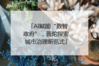 AI赋能“数智政府”，普陀探索城市治理新范式