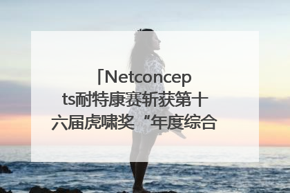 Netconcepts耐特康赛斩获第十六届虎啸奖“年度综合服务商”大奖