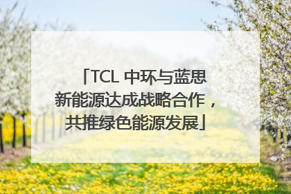 TCL 中环与蓝思新能源达成战略合作，共推绿色能源发展